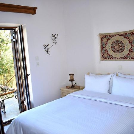 Eufrosini Guesthouse Metsovo Buitenkant foto