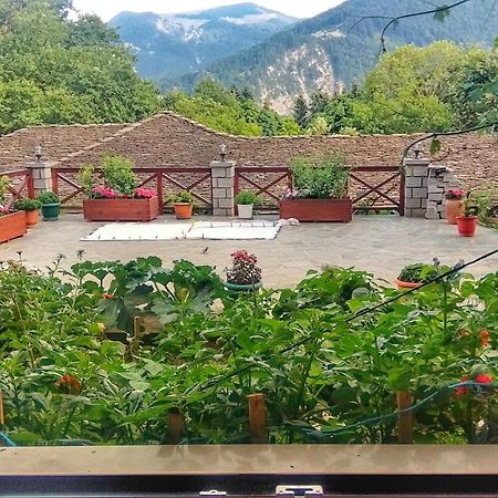 Eufrosini Guesthouse Metsovo Buitenkant foto