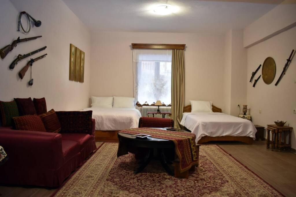 Eufrosini Guesthouse Metsovo Buitenkant foto
