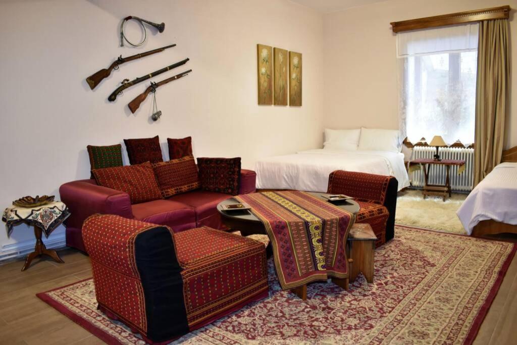 Eufrosini Guesthouse Metsovo Buitenkant foto
