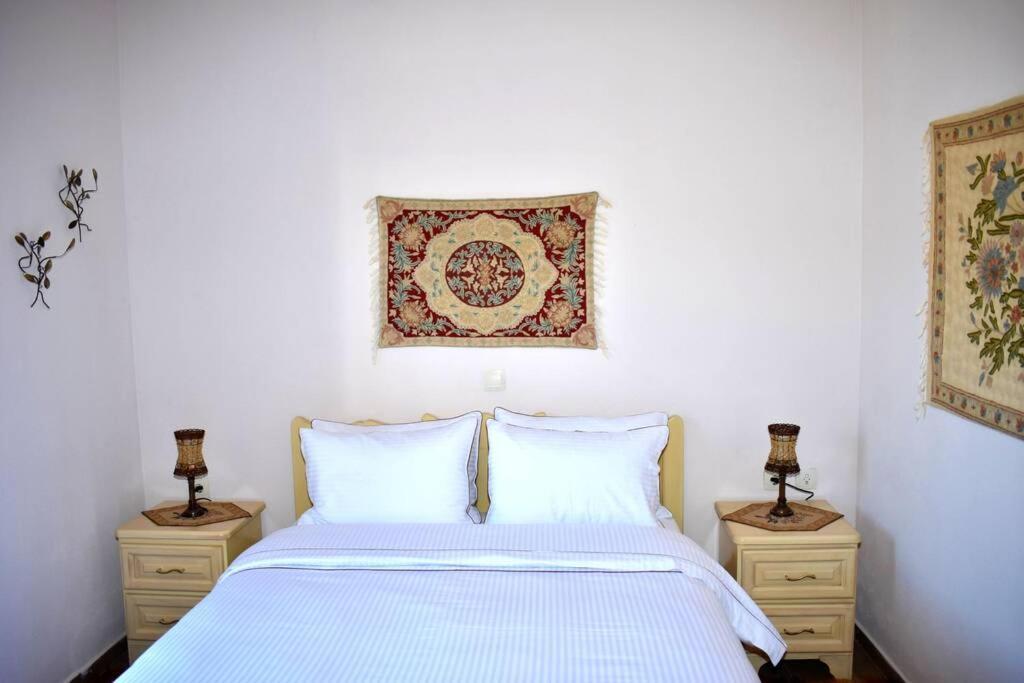 Eufrosini Guesthouse Metsovo Buitenkant foto